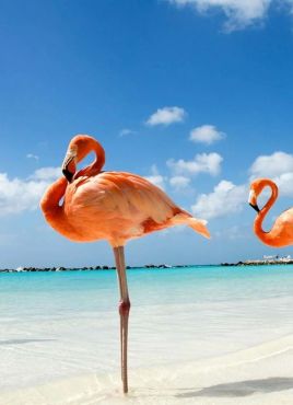 ЕКСКЛУЗИВНИ ОТСТЪПКИ - Почивка на о.Джерба, Тунис със самолет от София - 7 нощувки!